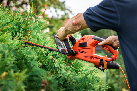 Secure Property - Tidying your garden